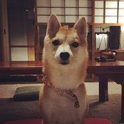 Komame Miyataさんの写真