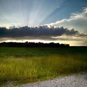 Laurette Williams's photo