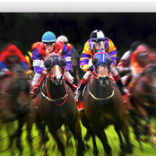 PDF Group Pty Ltd's photo