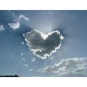 Michelle Alexander's photo