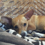 Kristi Bailey's photo