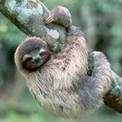 Farid Konsowa's photo