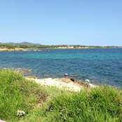 Katie Doyle's photo