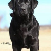 Norma Martinez Collins's photo