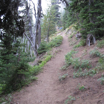 Trail Design and Construction