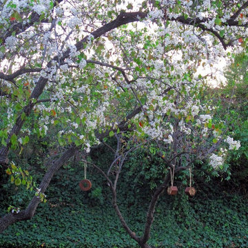 Sculptural Wildlife Habitats in the garden