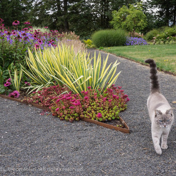 Contemporary Country Garden