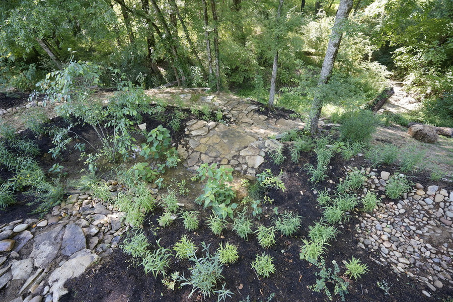 French Broad Rain Garden