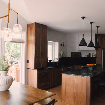Modern Kitchen Remodel Lenexa, KS