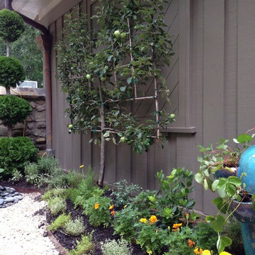 Organic Kitchen Garden