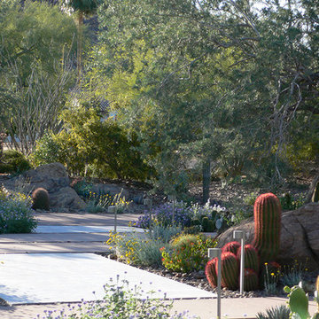 Modern Botanical Garden | Front Walk