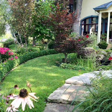 front yard