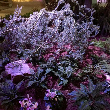 Southern Spring Home and Garden Show Entry 2016: Spring in Japan