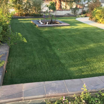 Completed Lawns and Turfs
