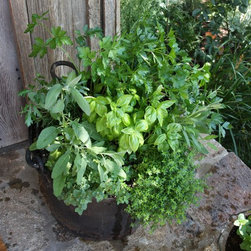 Annual Custom Containers - Outdoor Pots And Planters