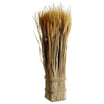 Silk Plants Direct Preserved Wheat, Grass Twig Bundle - Natural - Pack of 10