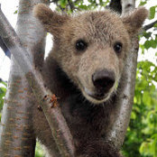 Foto de Ted Nunamaker
