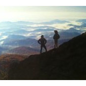 Dee Pellegrini's photo