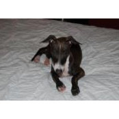 Christina's photo