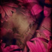 Nichele Bean's photo