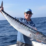 Andrew Ryan's photo