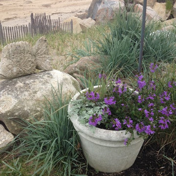 Seasonal Container Plantings & Changeovers