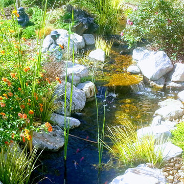 Ponds and Streams