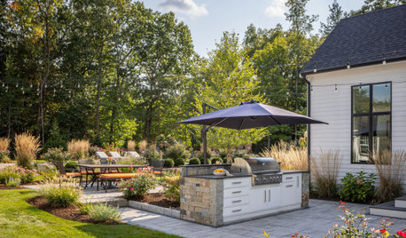 Before and After: 4 Lively Yards Perfect for Late-Summer Hosting