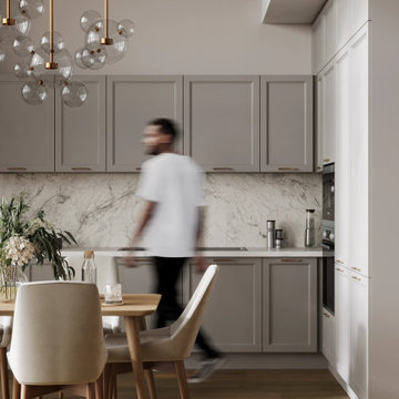 Apartment: Full Renovation of Kitchen & Dinning area