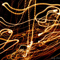 Golden Movement - Photographs