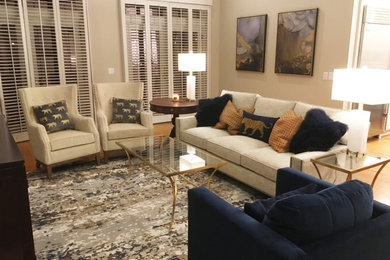 Example of a living room design in Chicago