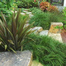 plantings
