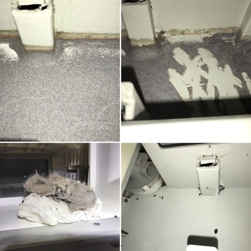 Condenser unit from dryer has residue help! & massive lint cleanup