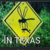 Mosquitoes..........