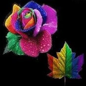 Mary Mancini's photo