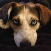 Olivia Page's photo