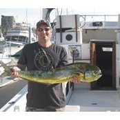 Dave Johnson's photo