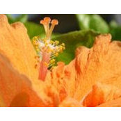 Bobbi Bingham's photo