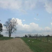 Foto von Marla Kile