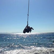 Lisa D'Arcy's photo
