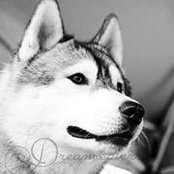 Bettina Morris's photo