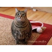 Jess Slentz's photo