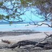 Elisa Goldberg's photo