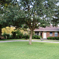 Espinoza Tree Service