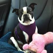 Margaret Vinsant's photo
