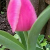 Janina Lech's photo