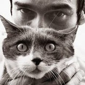 Andrea Paravella's photo