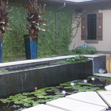 Courtyard Koi Pond