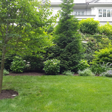 Landscape Lighting shines a pride of home ownership