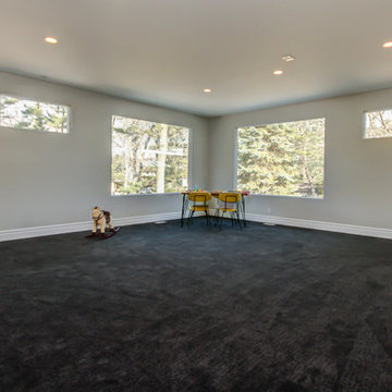 Mid Century Remodel
